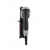 Ударная дрель CROWN CT10129