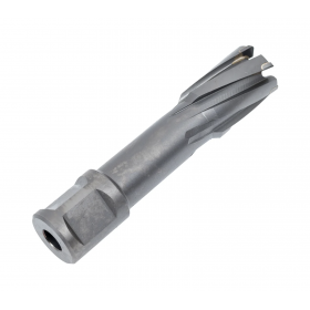 Фреза кольцевая TCT 20 x 55 мм (SEG)