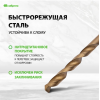 Набор нитридтитановых сверл по металлу СИБРТЕХ (13 шт.)