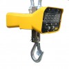 Крановые электронные весы 1T SB